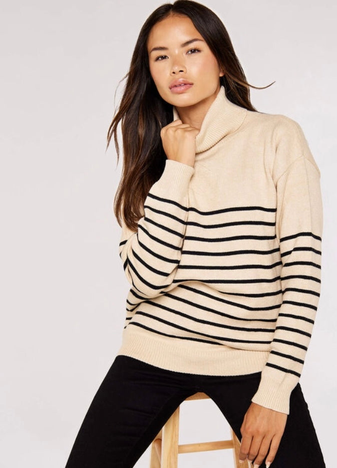 Model Stripe Roll Neck Sweater