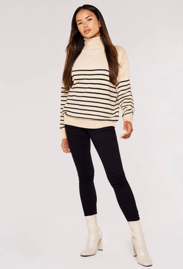 Model Stripe Roll Neck Sweater